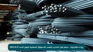 زيادة مفاجئة.. سعر طن الحديد يتصدر الأسواق المحلية اليوم الأحد 21-9-2025